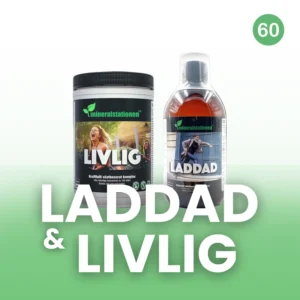 Livlig & Laddad